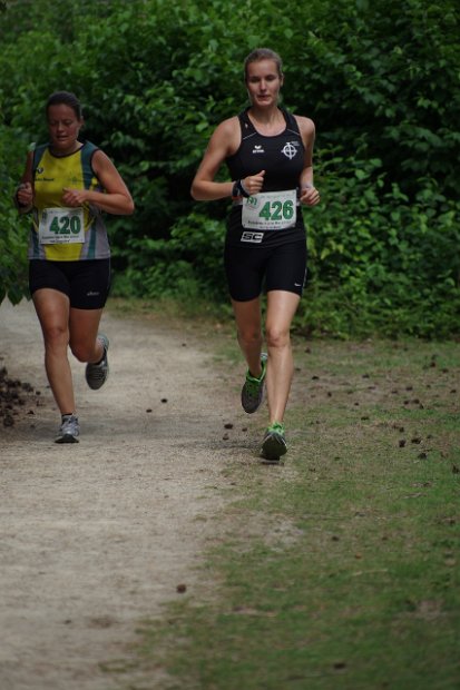 Onderweg Boon 2014 - 300